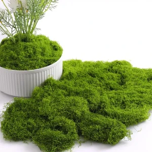 Eternal Life Moss DIY Crafts Grass Artificial Green Plants Home Room Garden Decor Mini Landscape Fake Grass 20/40/100g