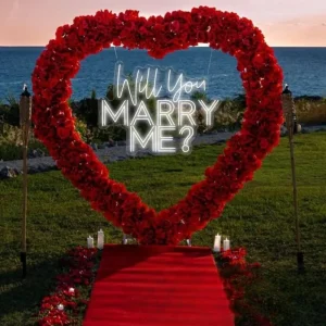 Will You Marry Me Neon Sign Custom Wedding Neon Sign Led Light Home Wall Decor Engagement Party Backdrop Engagement Decor